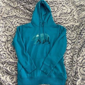 THE NORTH FACE Teal Hoodie Bear Tree Graphic Print size M